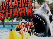 Play Miami Shark